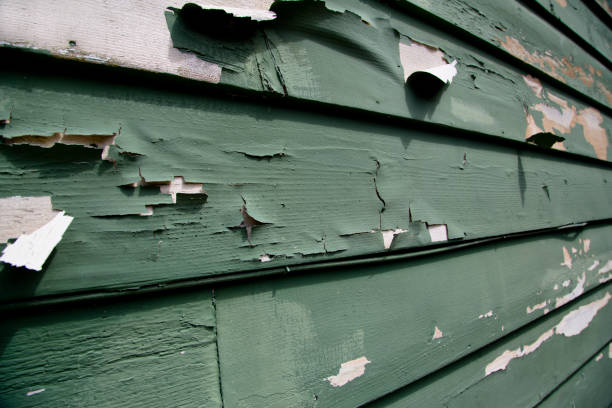 Professional Siding Installation & Repair in Stevenson, WA