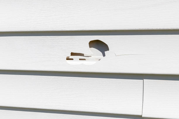 Best James Hardie Siding  in Stevenson, WA